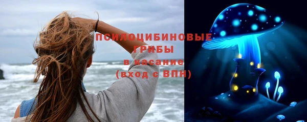 герыч Алексин