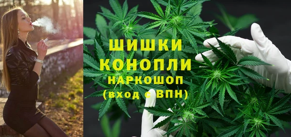 дурь Алзамай