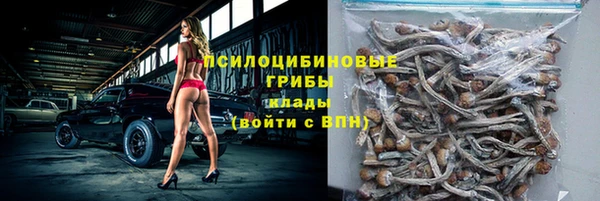 дмт Алексеевка