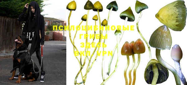 герыч Алексин