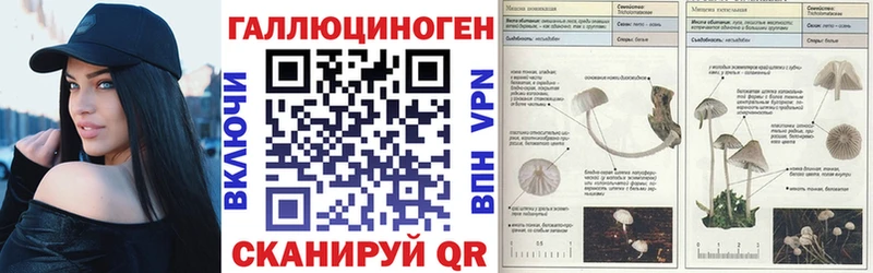 наркошоп  Карабулак  Галлюциногенные грибы мухоморы 