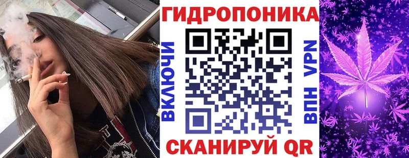 Бошки Шишки AK-47  сайты даркнета Telegram  Карабулак 
